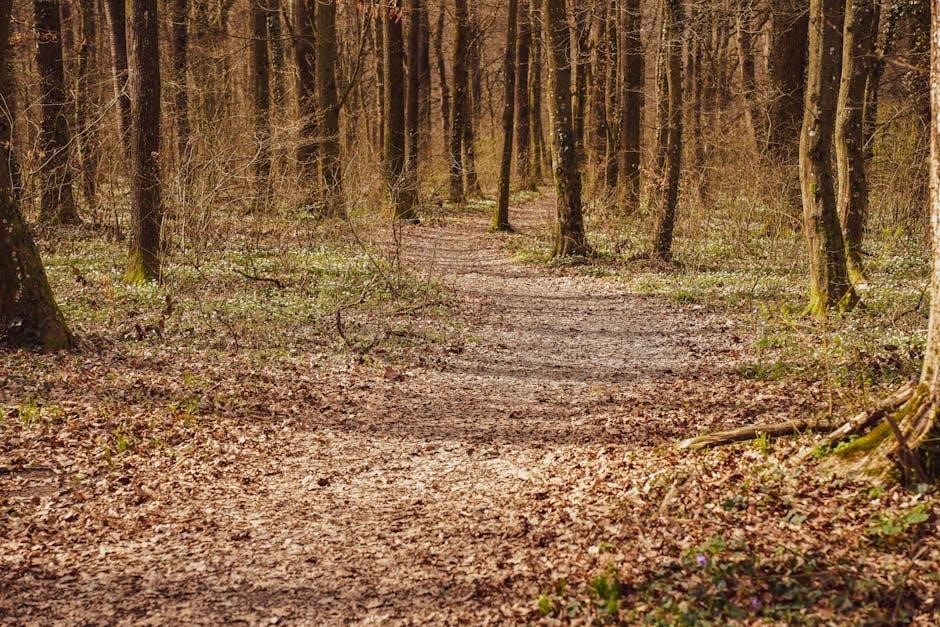 trail making test pdf trail making test pdf